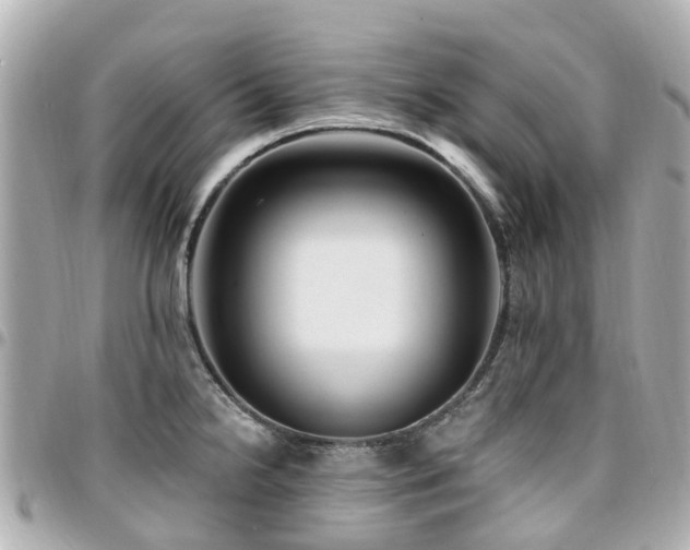 X0000094421238200711081130