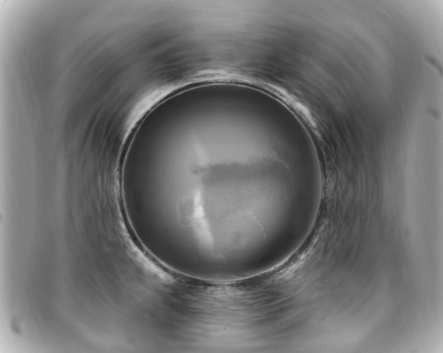 X0000094421239200711081130