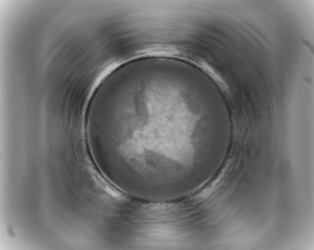 X0000094421240200711081130