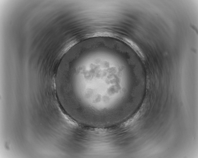X0000094421241200711081130