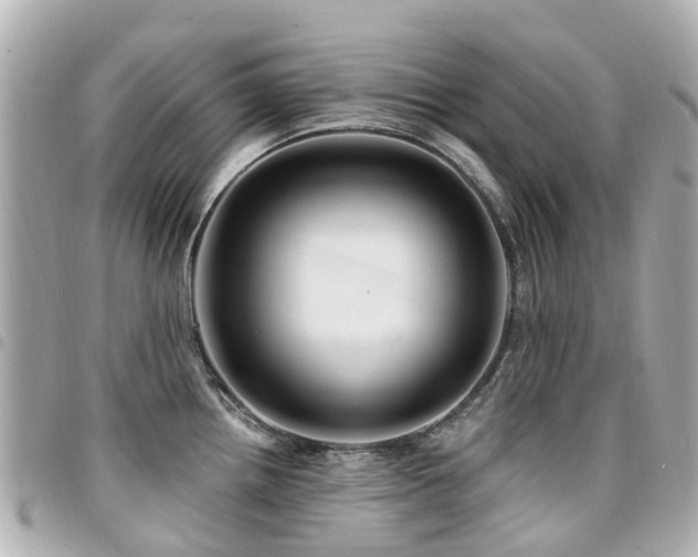 X0000094421242200711081130
