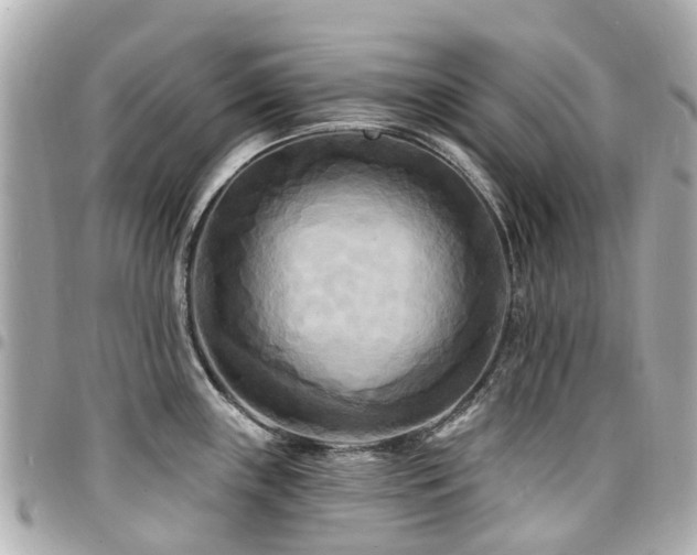 X0000094421243200711081130
