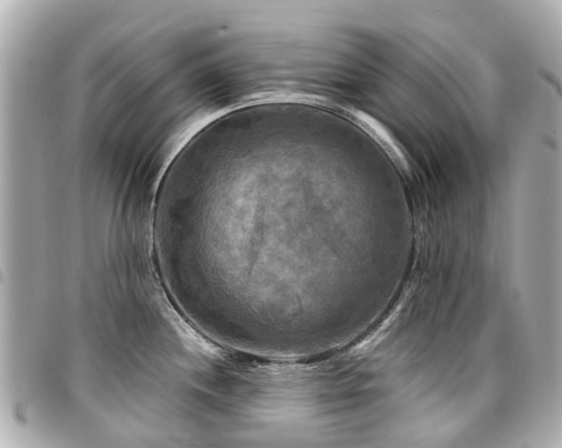 X0000094421244200711081130