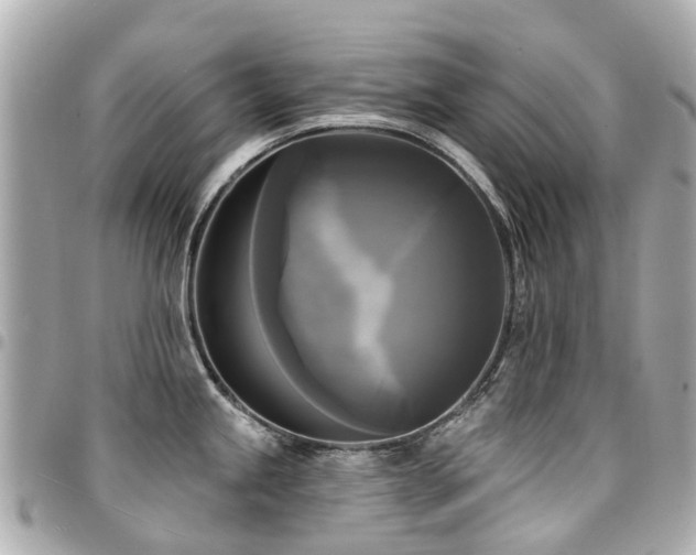 X0000094421245200711081131
