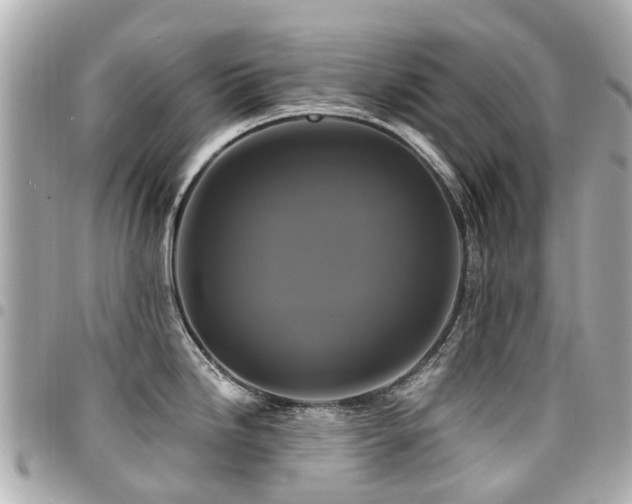 X0000094421246200711081131
