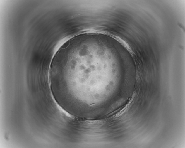 X0000094421247200711081131