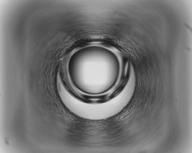 X0000094421249200711081130