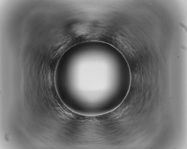 X0000094421250200711081130