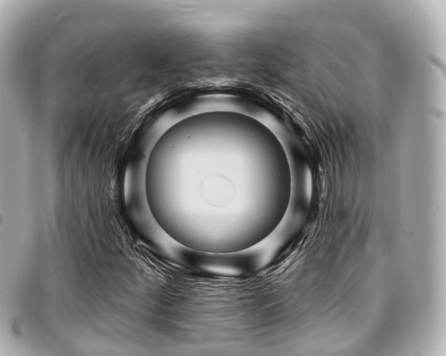 X0000094421252200711081130