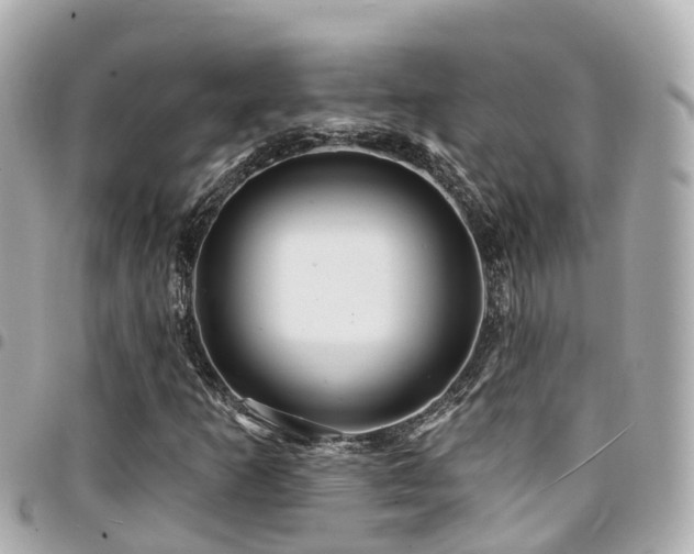 X0000094421253200711081130