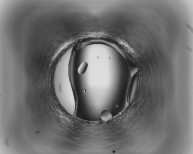 X0000094421256200711081130