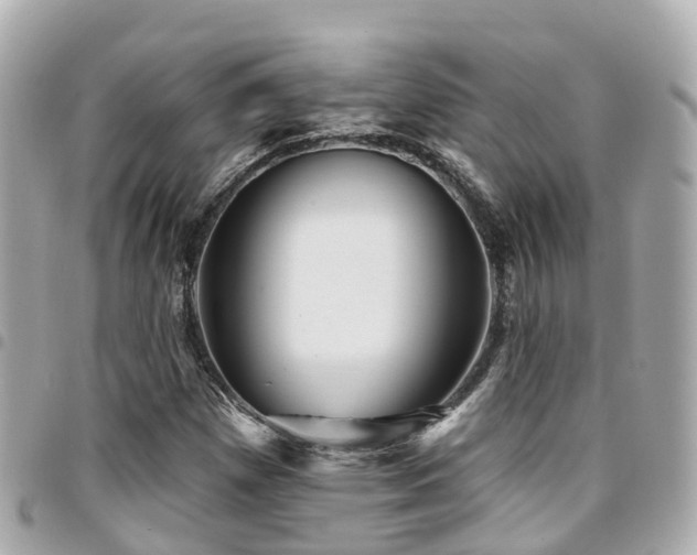 X0000094421257200711081130