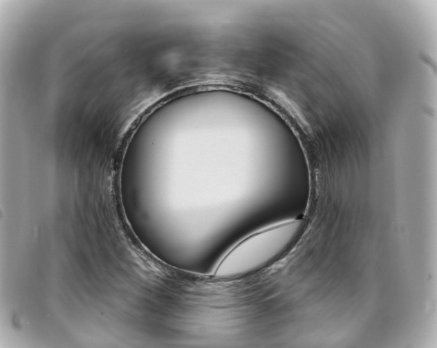 X0000094421260200711081130