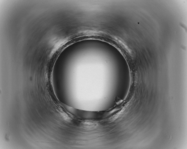 X0000094421261200711081130