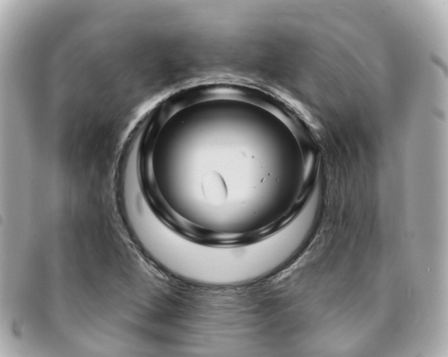 X0000094421264200711081130