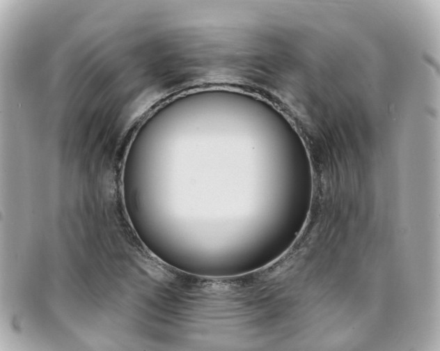 X0000094421266200711081130