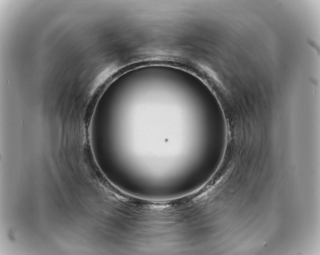 X0000094421267200711081130
