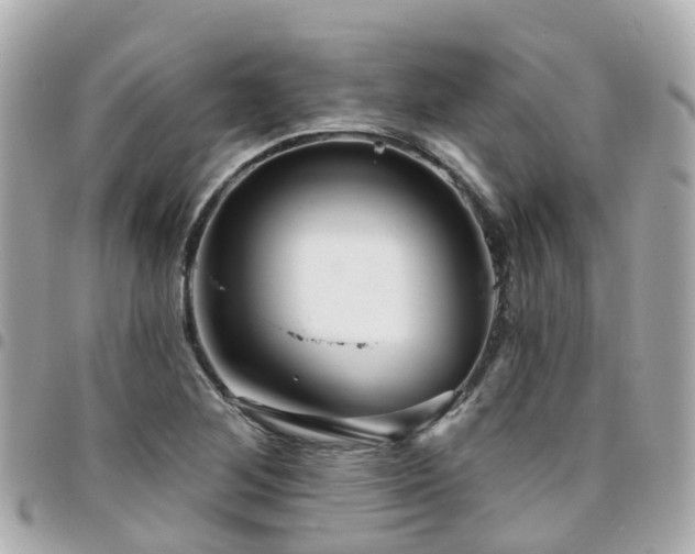 X0000094421268200711081130