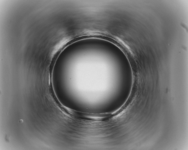 X0000094421269200711081130