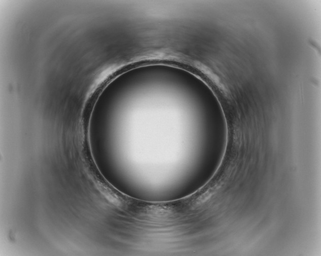 X0000094421270200711081130