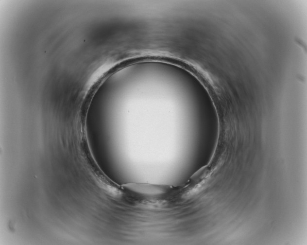 X0000094421271200711081130