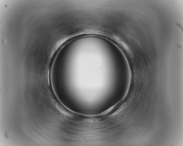 X0000094421272200711081130