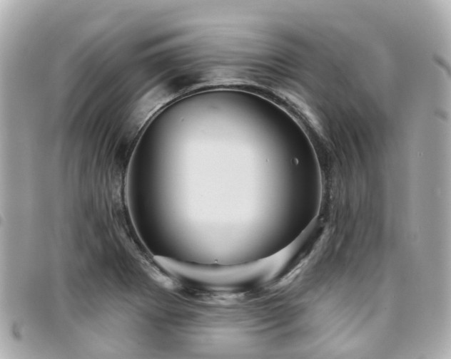 X0000094421273200711081130