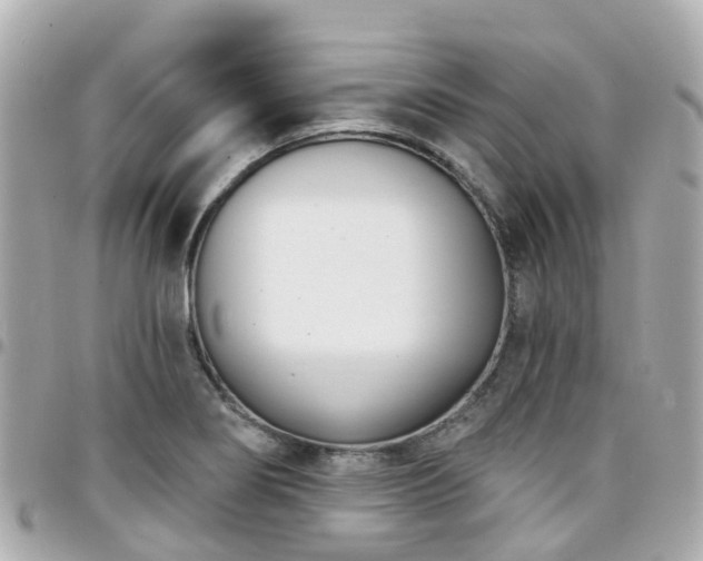 X0000094421274200711081130