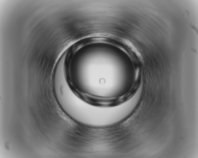 X0000094421276200711081130