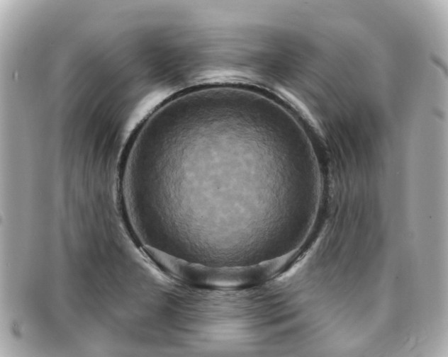X0000094421277200711081130
