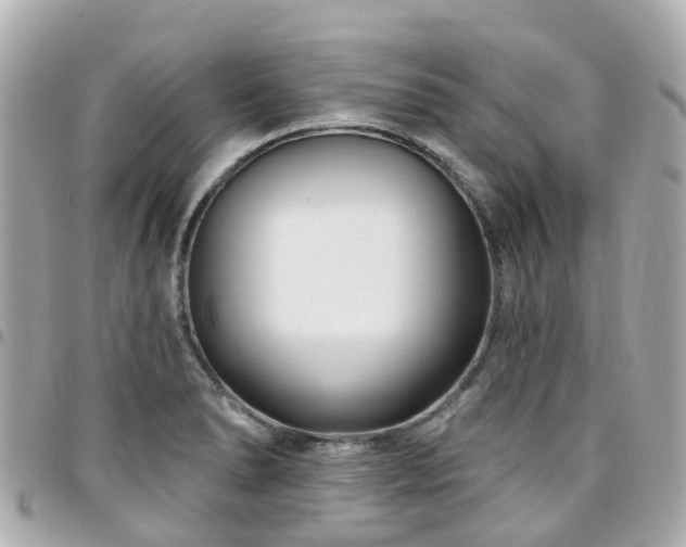 X0000094421278200711081130