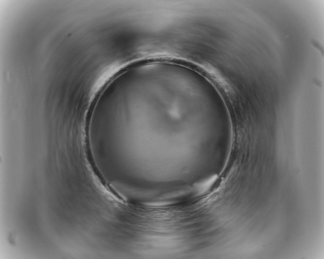 X0000094421279200711081130