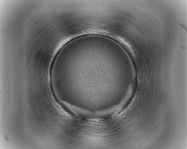 X0000094421280200711081130