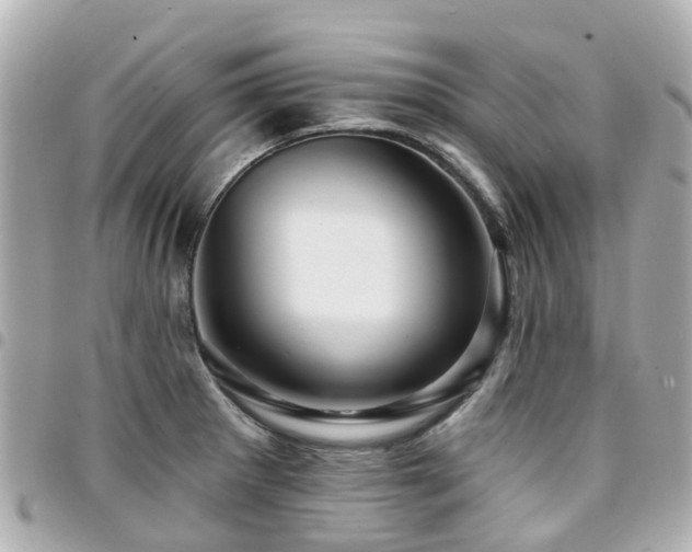 X0000094421281200711081130