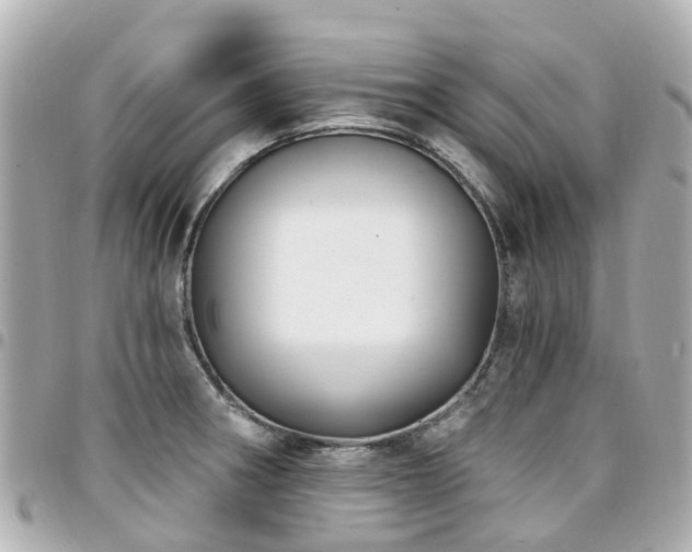 X0000094421282200711081130