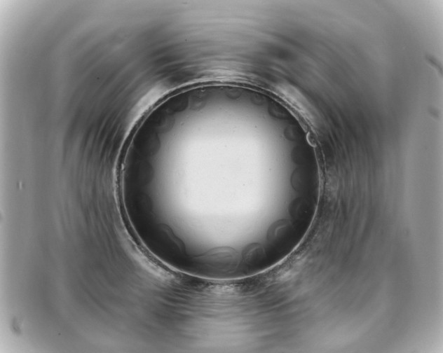 X0000094421283200711081130