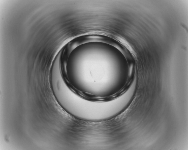X0000094421284200711081130