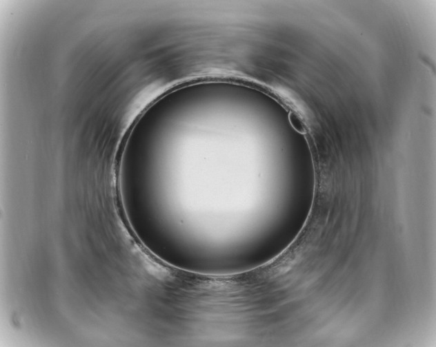 X0000094421287200711081130