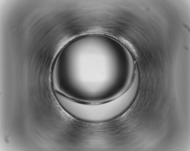 X0000094421288200711081130