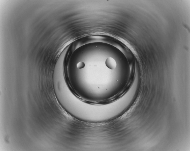 X0000094421289200711081130