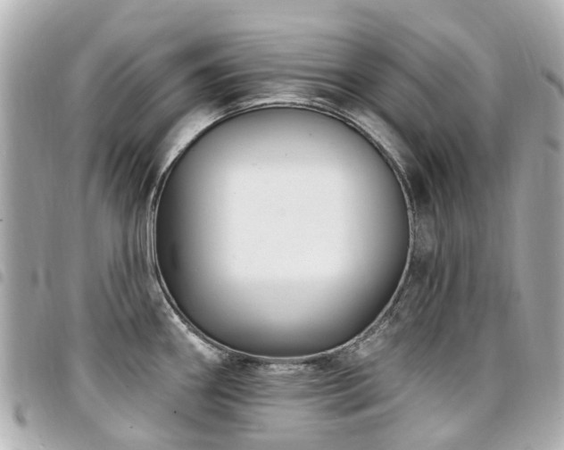 X0000094421290200711081129