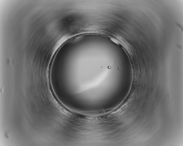 X0000094421291200711081129