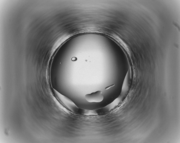 X0000094421293200711081129