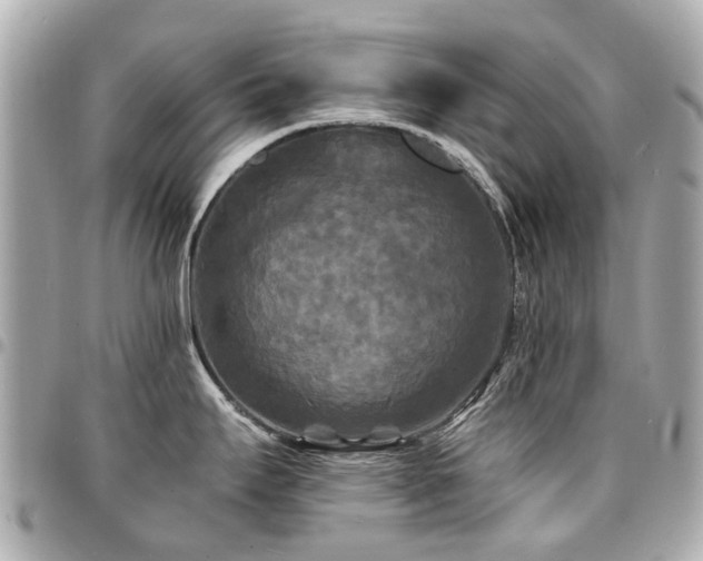 X0000094421295200711081129