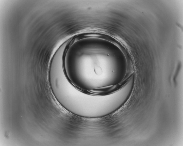 X0000094421296200711081129