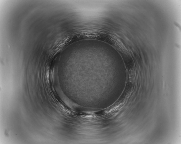 X0000094421298200711081129