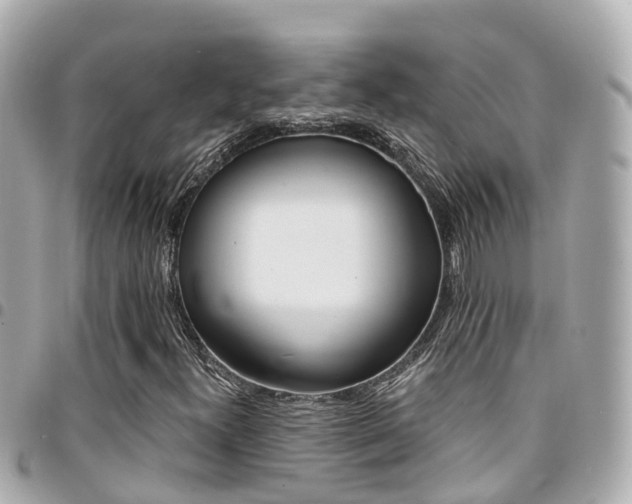 X0000094421300200711081129