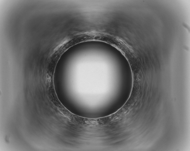 X0000094421302200711081129