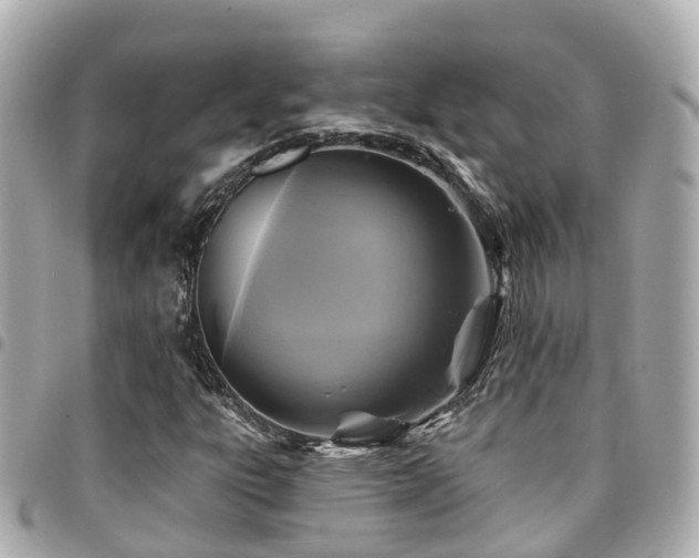 X0000094421303200711081129