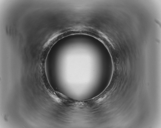 X0000094421304200711081129